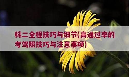 科二全程技巧与细节_c2科二全程技巧与细