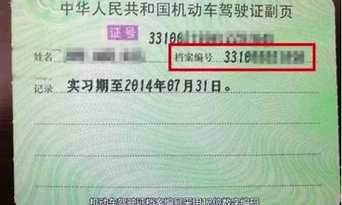 汽车驾驶证查询_汽车驾驶证查询网上查询